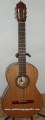 Guitarra fina de Paloescrito modelo MDPE 6